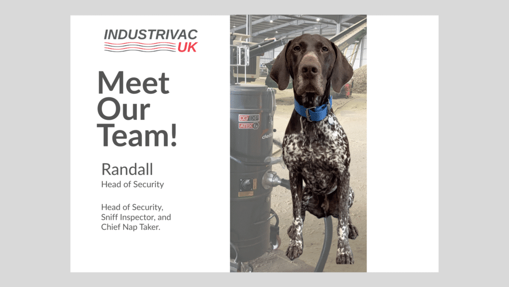 office dog workplace culture UK