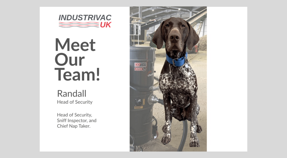 office dog workplace culture UK